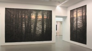 Michael Canning ‘Selva Obscura series I – IV’ (2014)